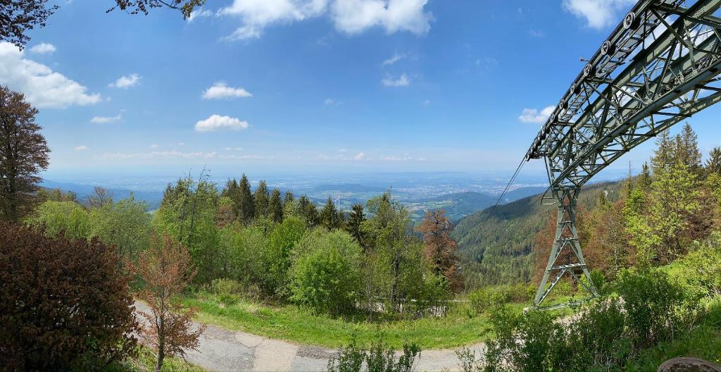Příroda nedaleko apartmánu