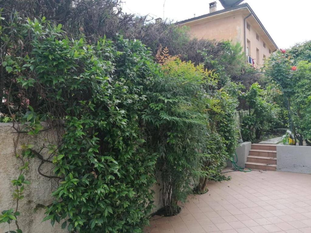 L'angolino apartment - Apartment Mit 1 Schlafzimmer