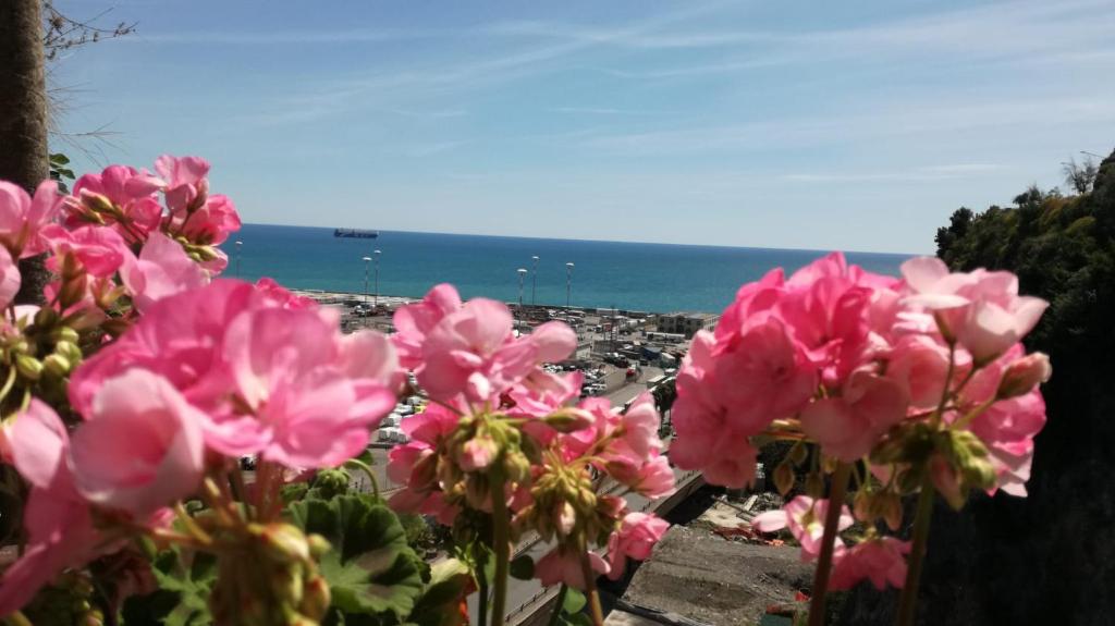 un gruppo di fiori rosa con l'oceano sullo sfondo di Torreammare a Salerno