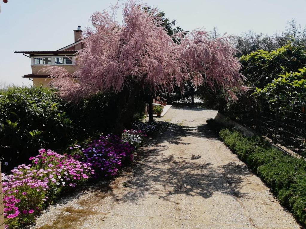 Casa Noemi tesisinin dışında bir bahçe