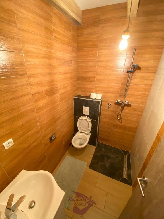 Koupelna v ubytování Holiday park Hajducka cesma