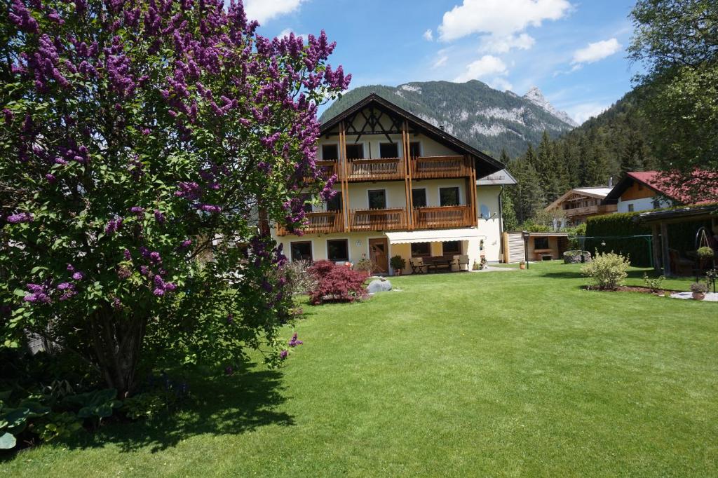Nespecifikovaný výhled na hory nebo výhled na hory při pohledu z bed and breakfast