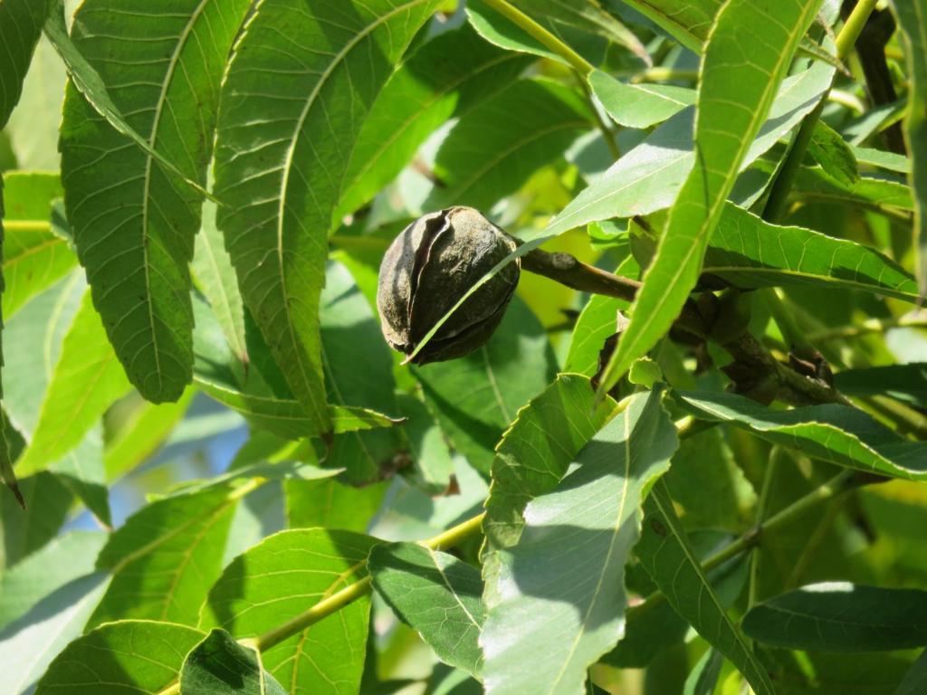  Pousada Biso Finoca Ibiraquera