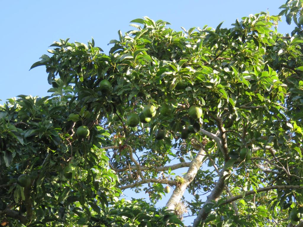  Pousada Biso Finoca Ibiraquera