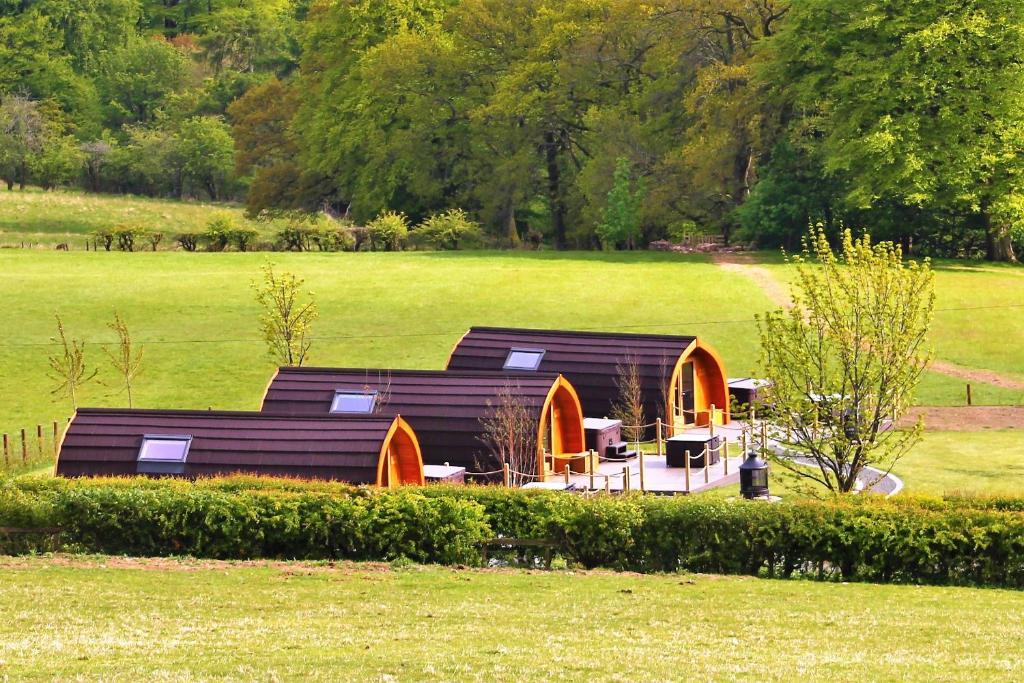 a group of buildings in a field with trees at Cairnfold Cabins in Kilsyth