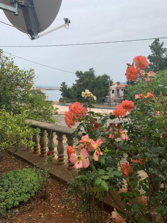 Zahrada ubytování Apartmani Spomenka
