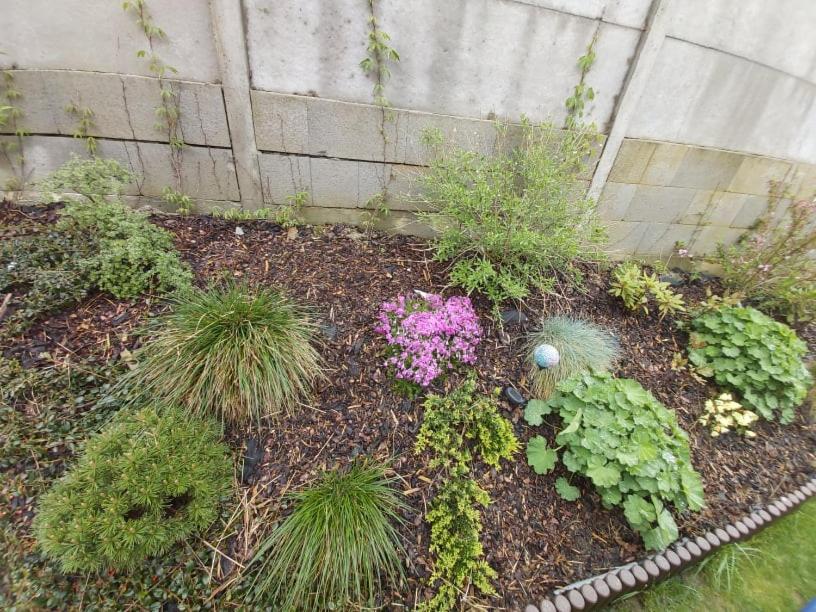 A garden outside Penzión Thamasy