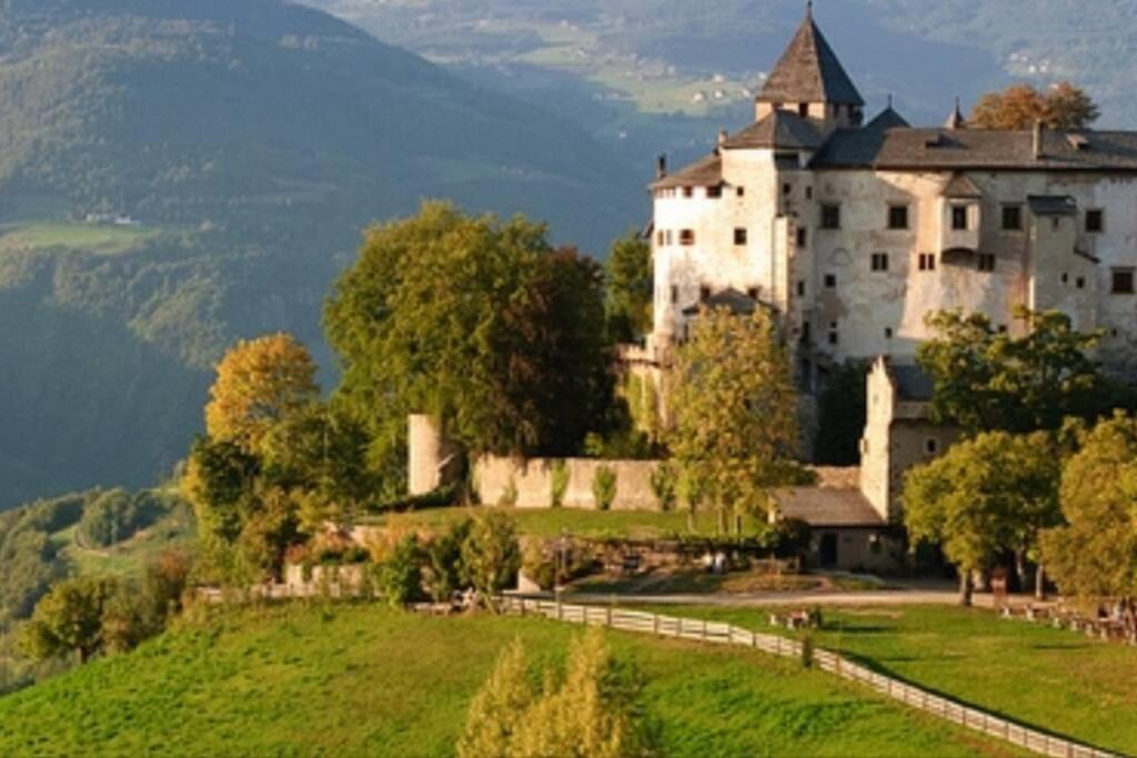 Příroda nedaleko apartmánu
