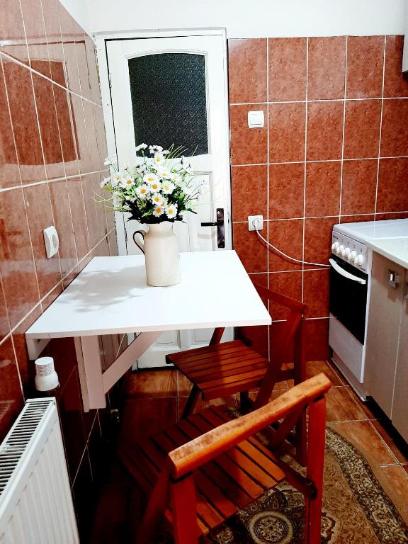Kuchyň nebo kuchyňský kout v ubytování Casa Hermann