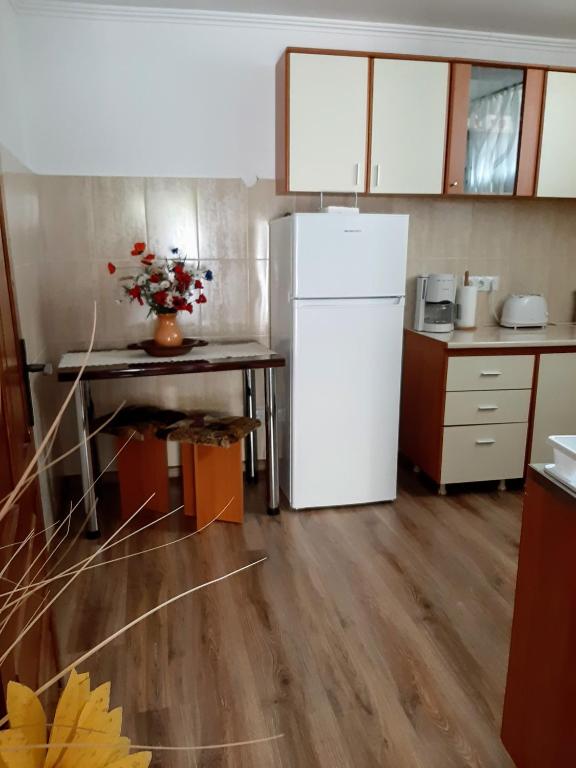 Kuchyň nebo kuchyňský kout v ubytování Casa Hermann