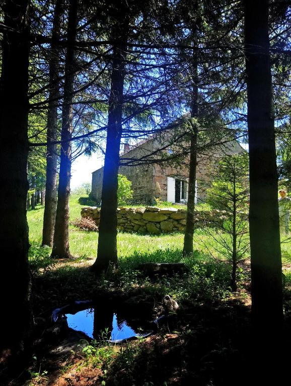 um campo com árvores e uma casa ao fundo em la ferme du crie em Chaudeyrolles