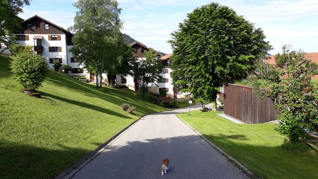 Ferienwohnung Ritter - Apartamento De Confort