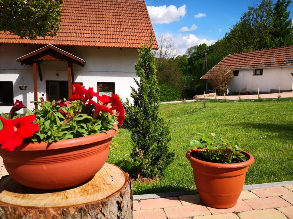 two large pots of flowers sitting on a tree stump at Mánfa-gyöngy Vendégház in Mánfa