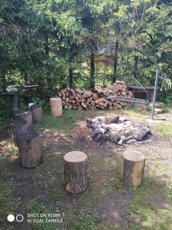 Fotografia z galérie ubytovania Domki na lipowej v destinácii Pastwiska