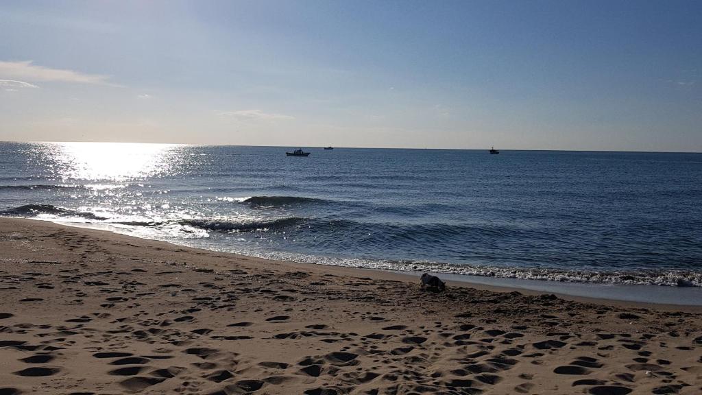 Zdjęcie z galerii obiektu Sole e Luna w Katanii