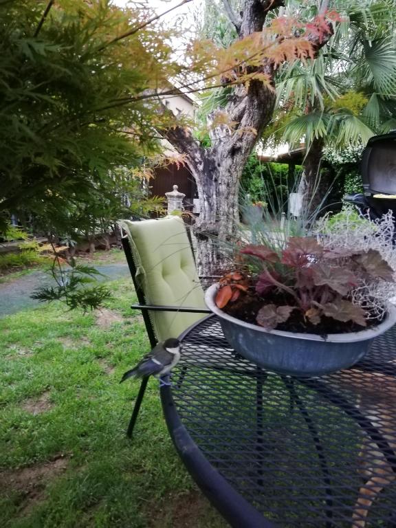 Derechos de imagen reservados por Booking.com