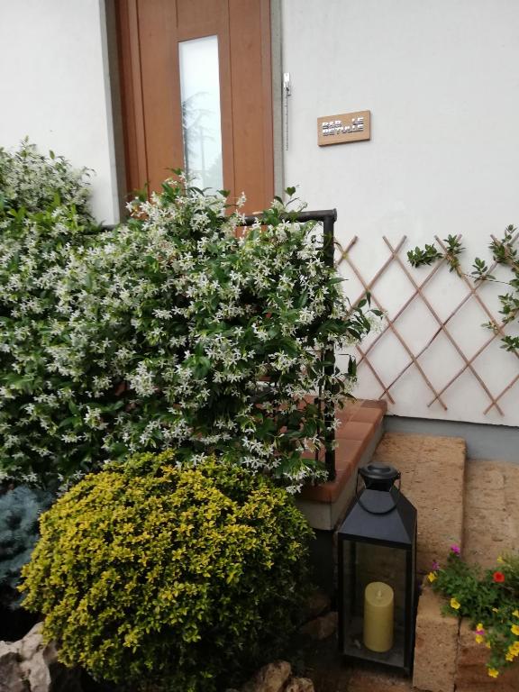 Derechos de imagen reservados por Booking.com