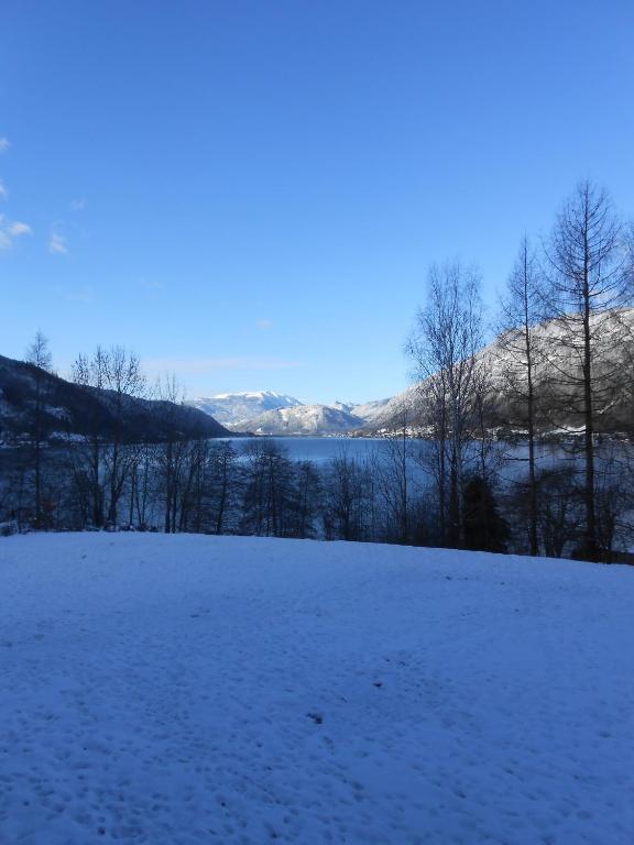 Pokrajina v okolici apartmaja