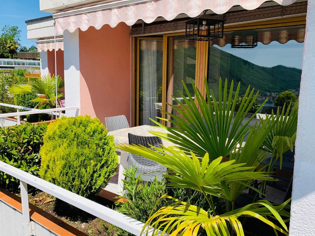 Zahrada ubytování Casa Rosa