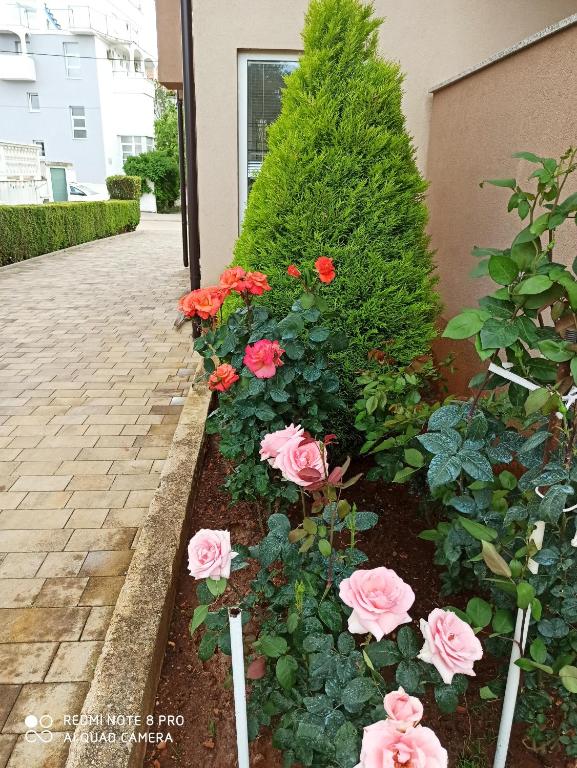 Apartments Roncevic - 19