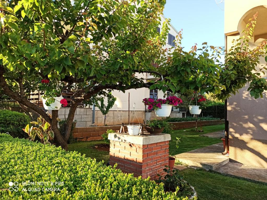 Apartments Roncevic - 18