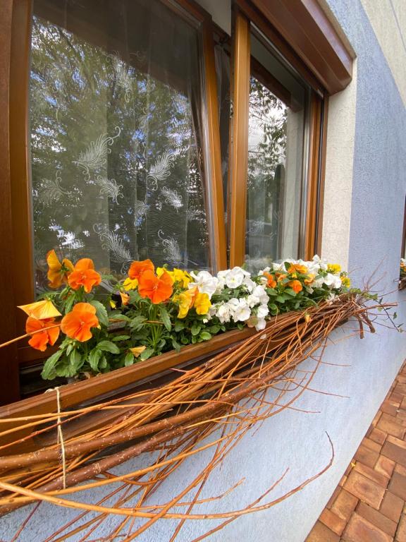 Fotografie z fotogalerie ubytování Pension Ferda v destinaci Český Krumlov
