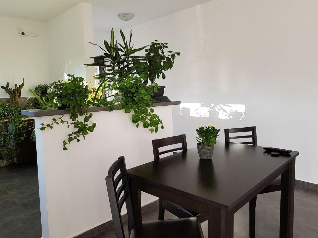 Fotografie z fotogalerie ubytování Casa Nagy v destinaci Sovata