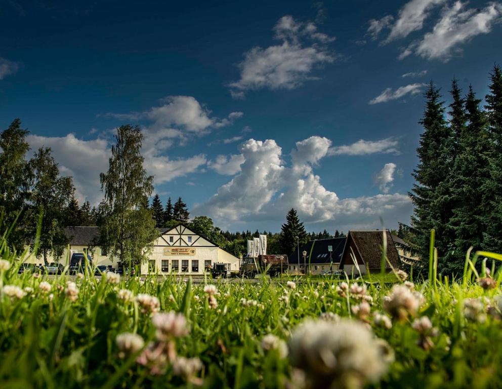 a field of flowers in front of a house at Sporthotel Glück Auf Mönchenfrei in Brand-Erbisdorf