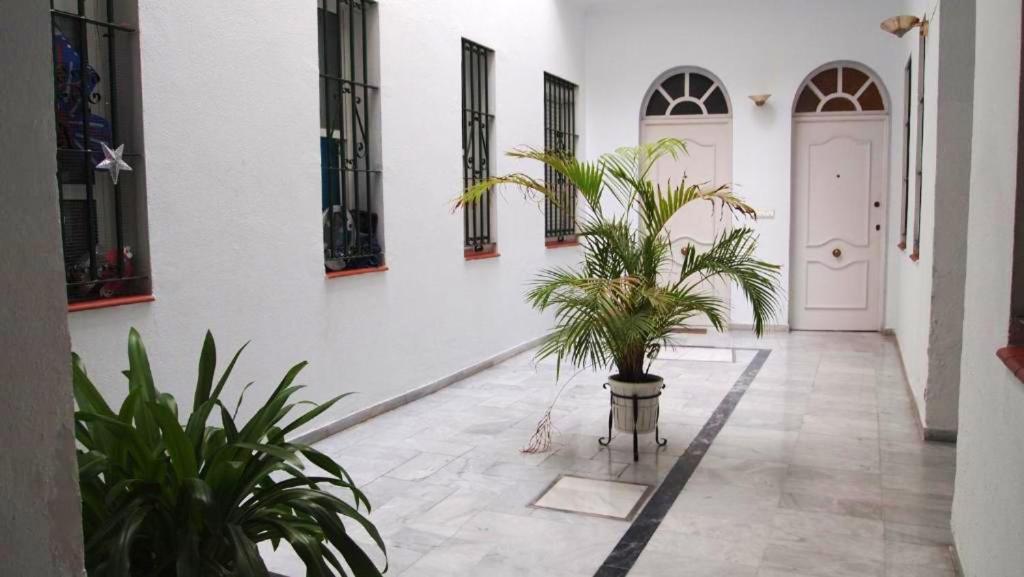 un couloir avec des plantes en pot et une porte blanche dans l'établissement One bedroom apartement with city view balcony and wifi at Sevilla, à Séville
