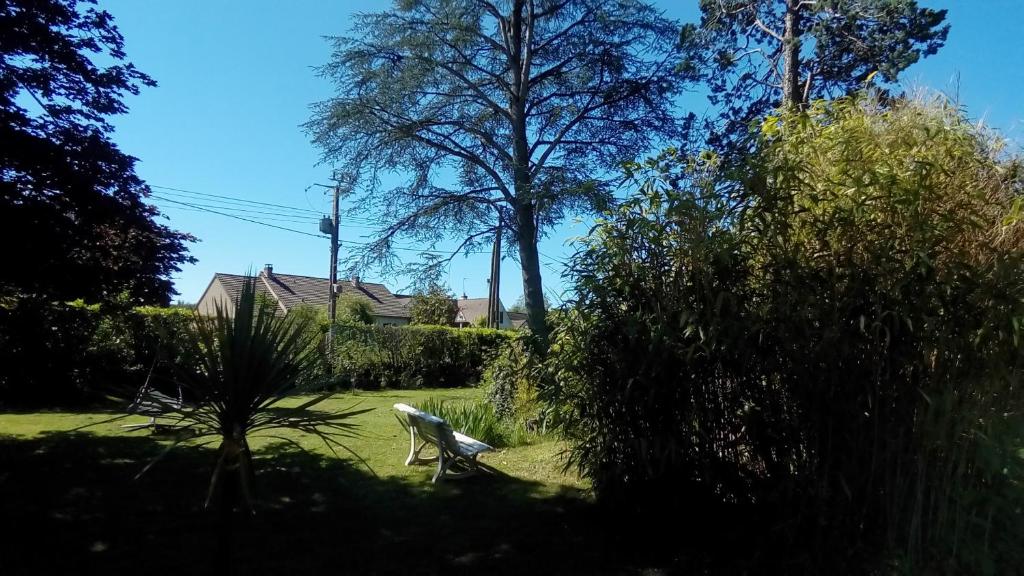 um pássaro a andar na relva num quintal em O Tour du Monde em Cellettes