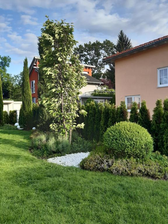 Zahrada ubytování Attika Ferienwohnung Merk