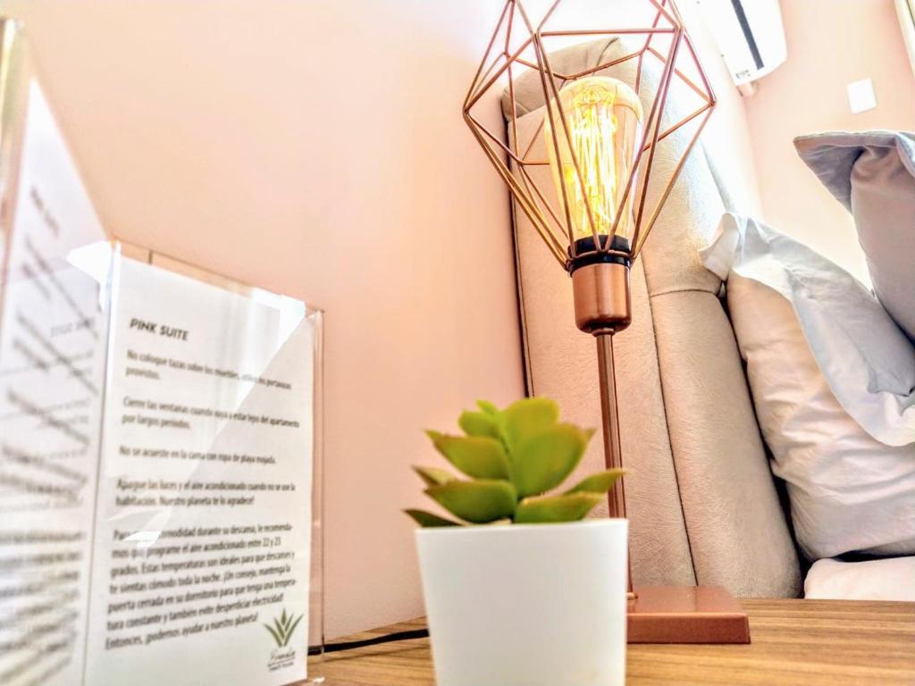  Bromelia house
