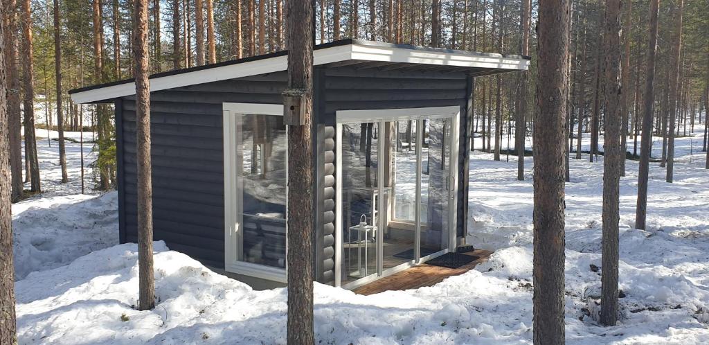 Pyhäkirnu Cottage v zimě