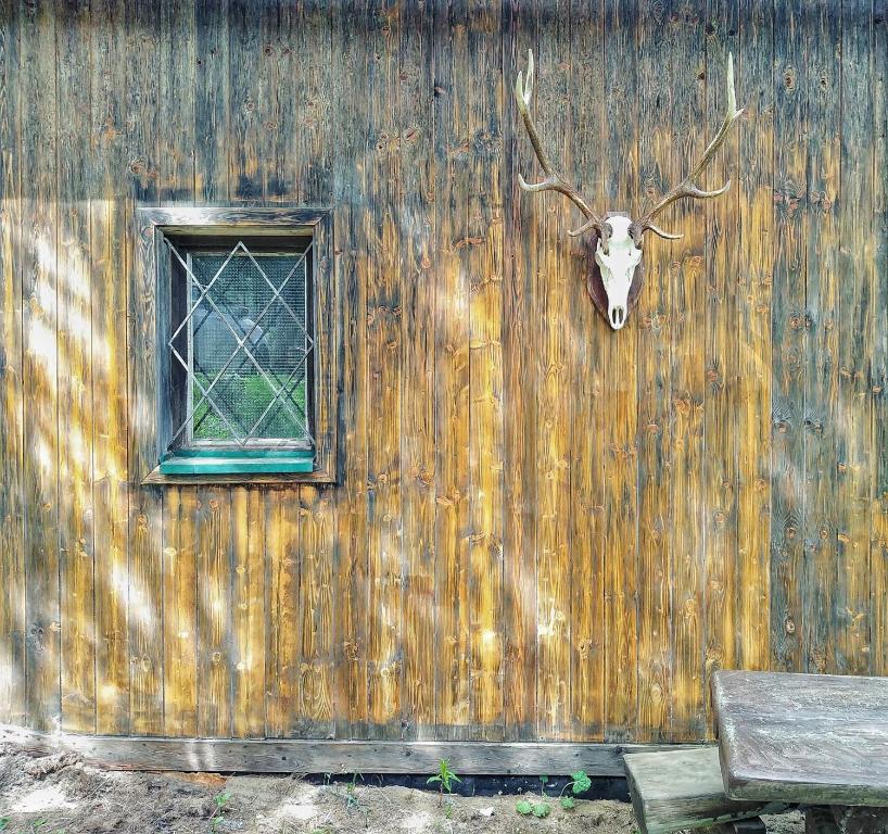 Fotografie z fotogalerie ubytování Hütte Gerlitzen RegioJet Hotels&Cottages v destinaci Bodensdorf