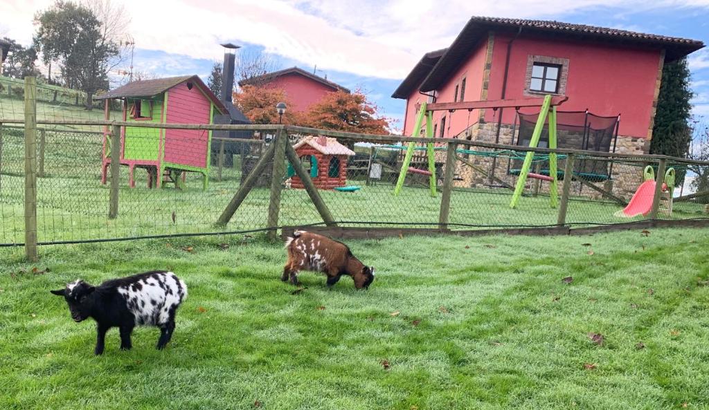due vacche che pascolano in un campo con parco giochi di Apartamentos La Quintana de Romillo a Romillo