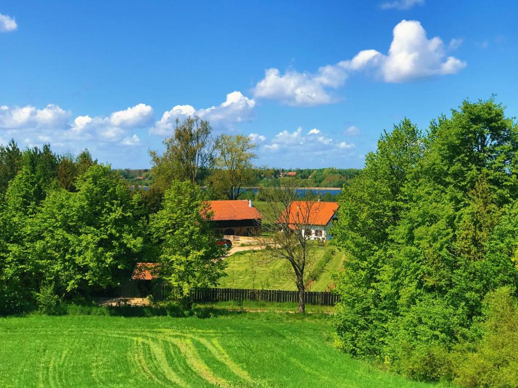 a house in the middle of a field with trees at Siedlisko Borówkowo in Jeziorany