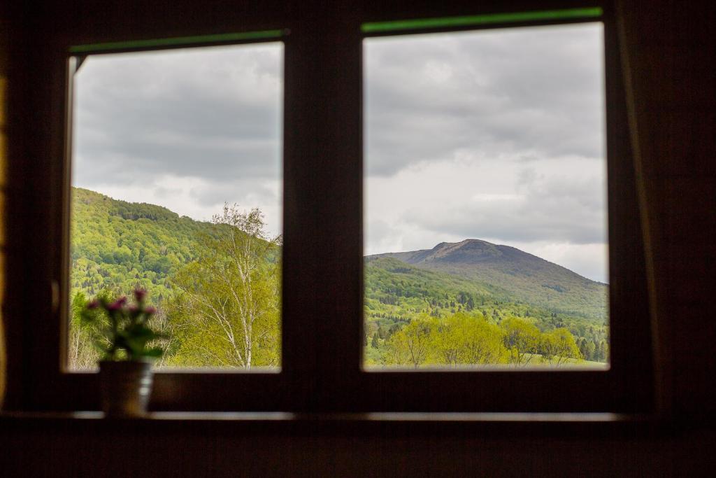 Niemczukówka 2 - Smerek - 5