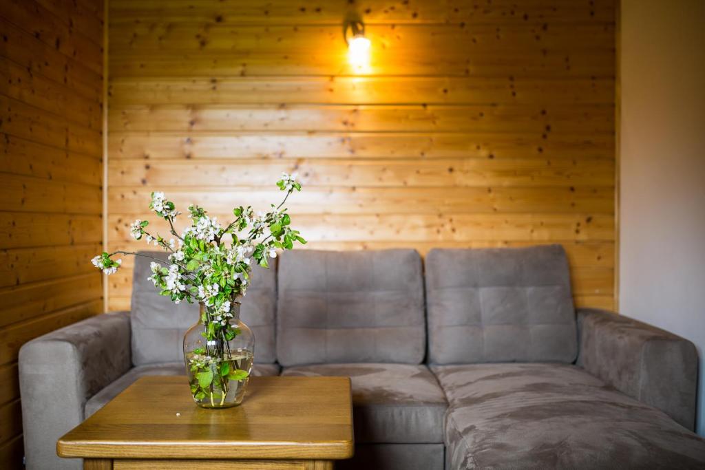 Niemczukówka 2 - Smerek - 3