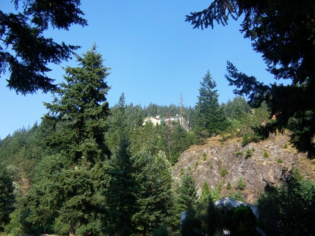 una casa en la cima de una montaña con árboles en High Hopes Bed and Breakfast, en Hope