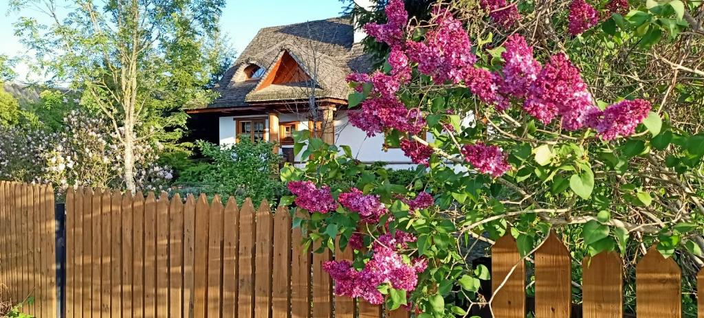 ビャウォヴィエジャにあるBiałowieski Dworek do 10 Gościの紫の花の柵の裏の家