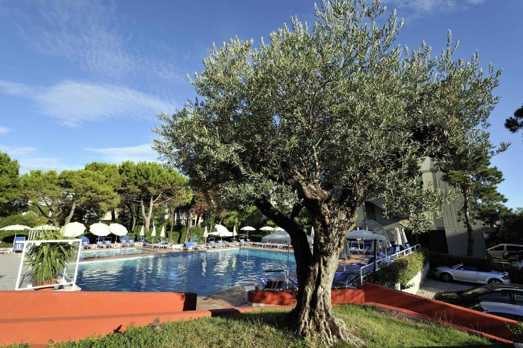 Bazén v ubytování Hotel Bembo nebo v jeho okolí