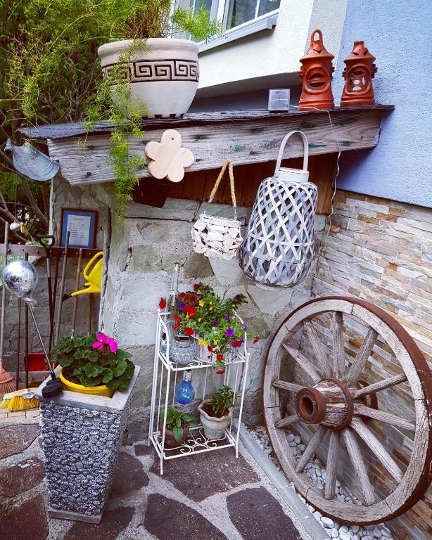Zahrada ubytování Haus Emily