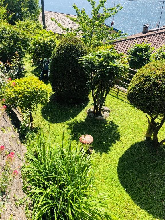 Zahrada ubytování Lilli - Casa sul Lago