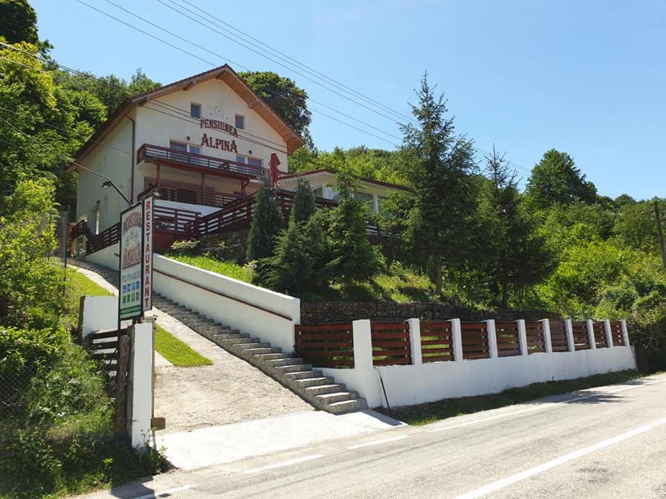 un edificio sul lato di una strada di Pensiunea Alpina a Malaia