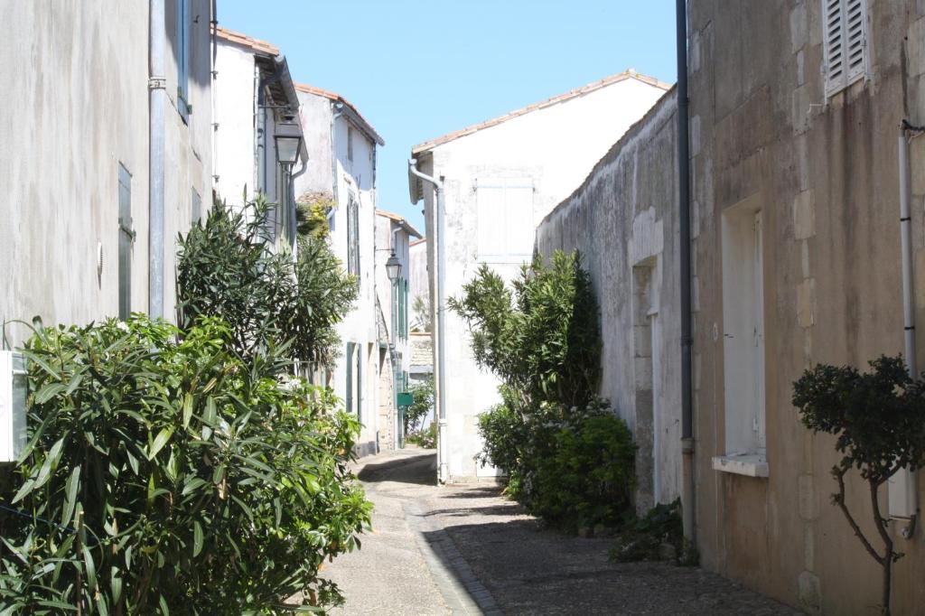 un callejón con edificios blancos y plantas verdes en Les Chardons, en Saint-Martin-de-Ré