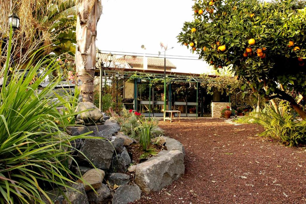 Zahrada ubytování Arbel Guest House Shavit Family
