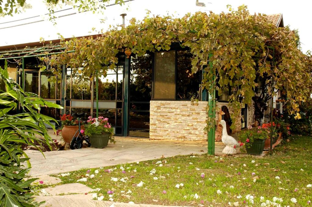 Zahrada ubytování Arbel Guest House Shavit Family