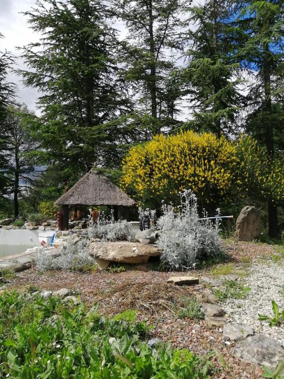 Zahrada ubytování Suite Médiévale 40m2 chambre d' hôte du Mas Fabrègue