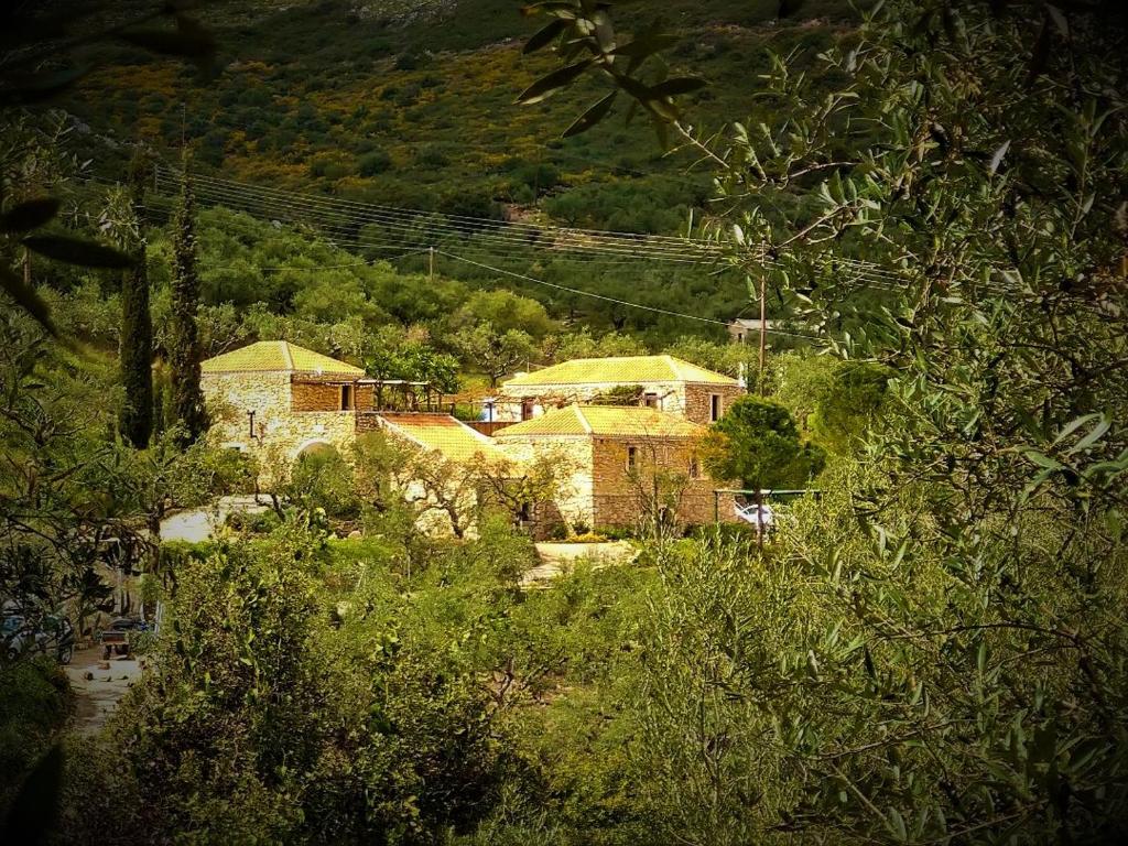 a group of buildings on a hill with trees at Tsivouli Accommodation in Lithakia