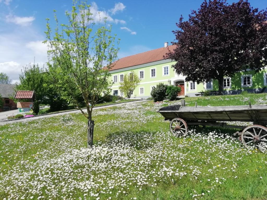 a field of white flowers in front of a house at Mayr-Eichberg, Familie Berndl in Wolfsbach